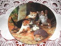 Assiette de collection "Ami ou ennemi"