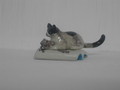Miniature "Chat et souris sur un livre"
