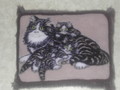 Coussin gris "3 chats aux yeux verts"