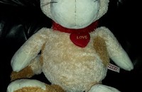 Grand chat l en peluche NICI