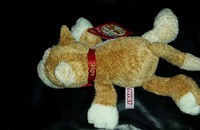 Petit chat en peluche NICI lll