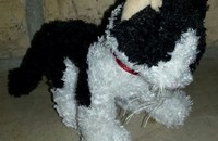 Chaton en peluche "noir & blanc" de Ganz