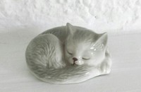 Petit chat gris dormant 6