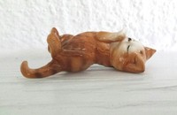 Kleine Katze auf dem Rücken 7
