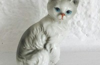 Petit chat gris, assis 8