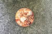 Magnet en verre chat VII