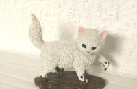 Chaton blanc dans la boue
