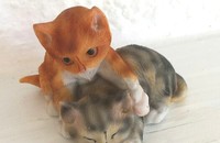 2 chatons joueurs