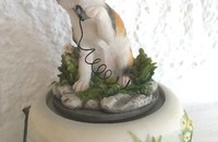 Boîte à musique chat avec papillon