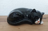 Chat noir avec pattes et nez blanc