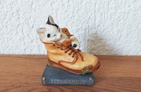 Country Artists chat dans chaussure