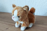 Peluche chat caramel 2