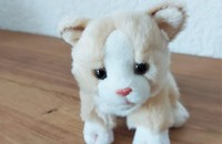 Peluche chat beige 2