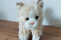 Peluche chat beige 1