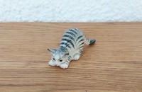 Miniature chat tigré gris dos rond III