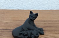 Miniature chat noir avec chaton