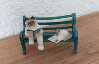 Miniature 2 chats Persan avec livres et banc