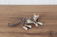Miniature chat tigré couché