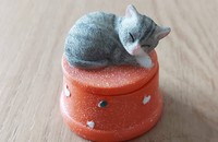 Petite boîte orange avec chat gris tigré
