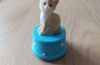 Petite boîte turquoise chat beige