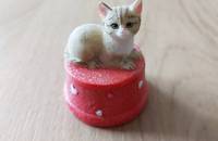Petite boîte orange avec chat beige