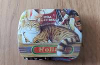 Petite boîte en fer avec chat tigré D