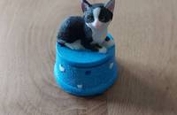 Petite boîte bleu avec chat noir et blanc