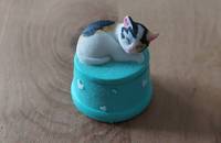 Petite boîte turquois avec chat tricolore H