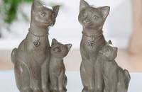 1 Chat Becky assis avec chaton