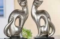 1 Chat Assuan à droite, tête à gauche