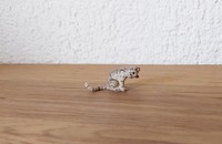 Miniature chat tigré se gratte une l'oreille