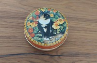 Petite boîte chat tricolore devant champ capucines