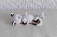 Petit chat vintage brun-blanc dormant sur le dos 18