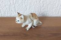 Petit chat vintage qui gette 22