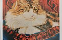 Carte pliante chat Le pacha