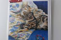 Carte pliante chats deux frères