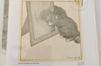 Carte pliante Chaton dans le miroir