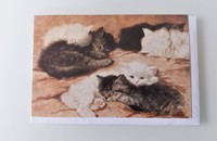 Carte pliante chat Kittens