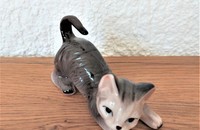 Petit chat gris