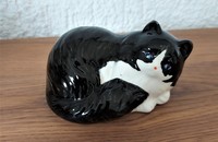 Petit chat noir et blanc