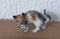 Petit chat tigré gris-brun avec chaton