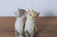 Couple de chatons assis IV 