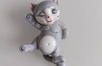 Petit chat gris couché sur le dos