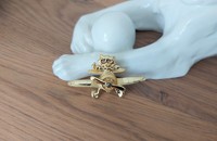 Broche chat dans l'avion