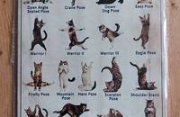 Plaque en métal chats Cat Yoga