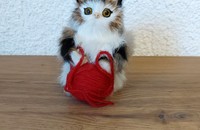 Chat en fourrure avec laine rouge