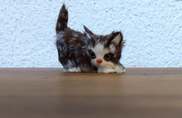 Chat en fourrure fesses en l'air