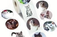 500 Autocollants portrait de chats