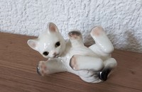 Goebel chat couché sur le dos