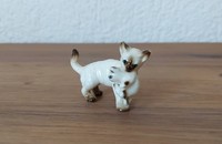 Miniature chat siamois avec chaton